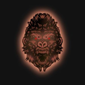 the shield